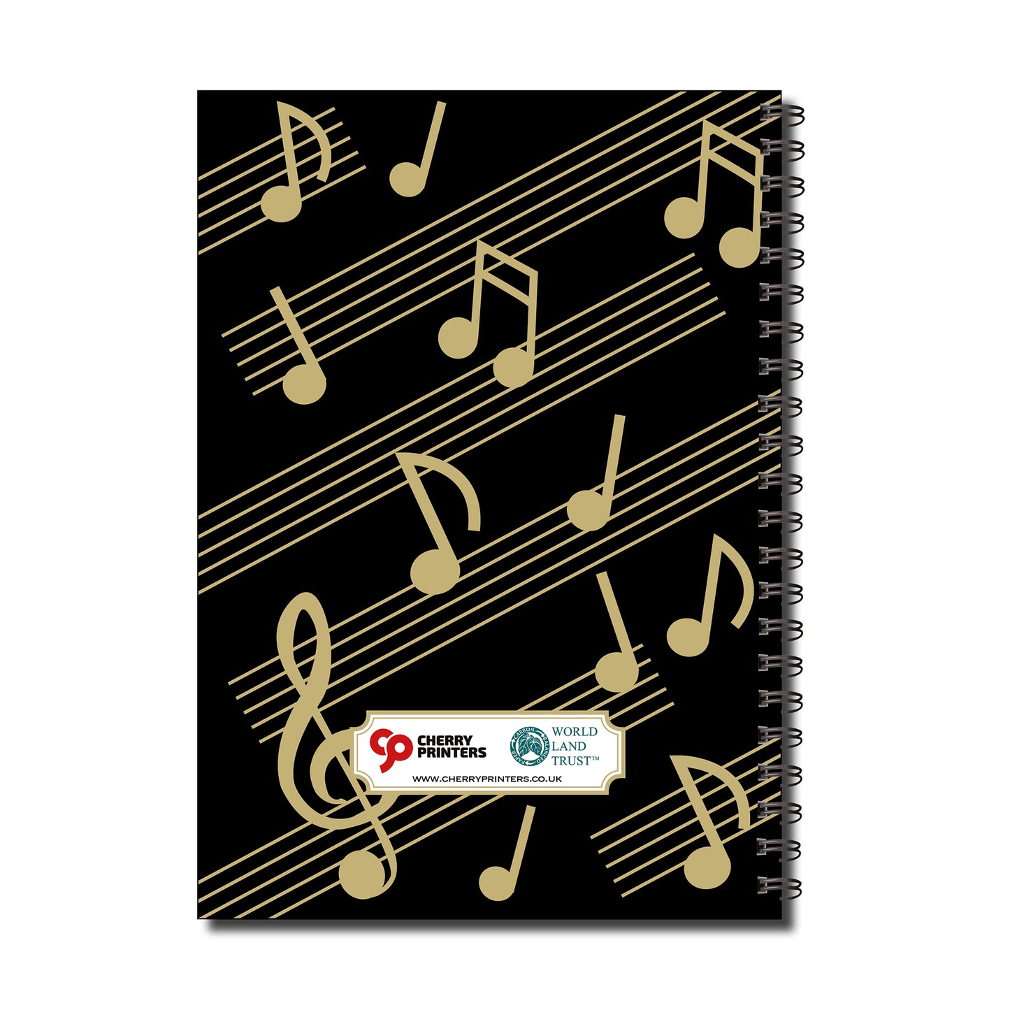 Music Manuscript | Blank Sheet Music Notebook | A5 (148mm x 210mm) | 50 double sided pages | Split Wirobound